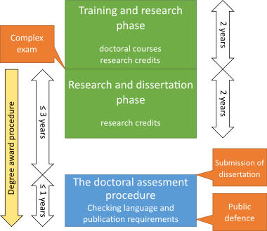 The curriculum of the PhD programme
